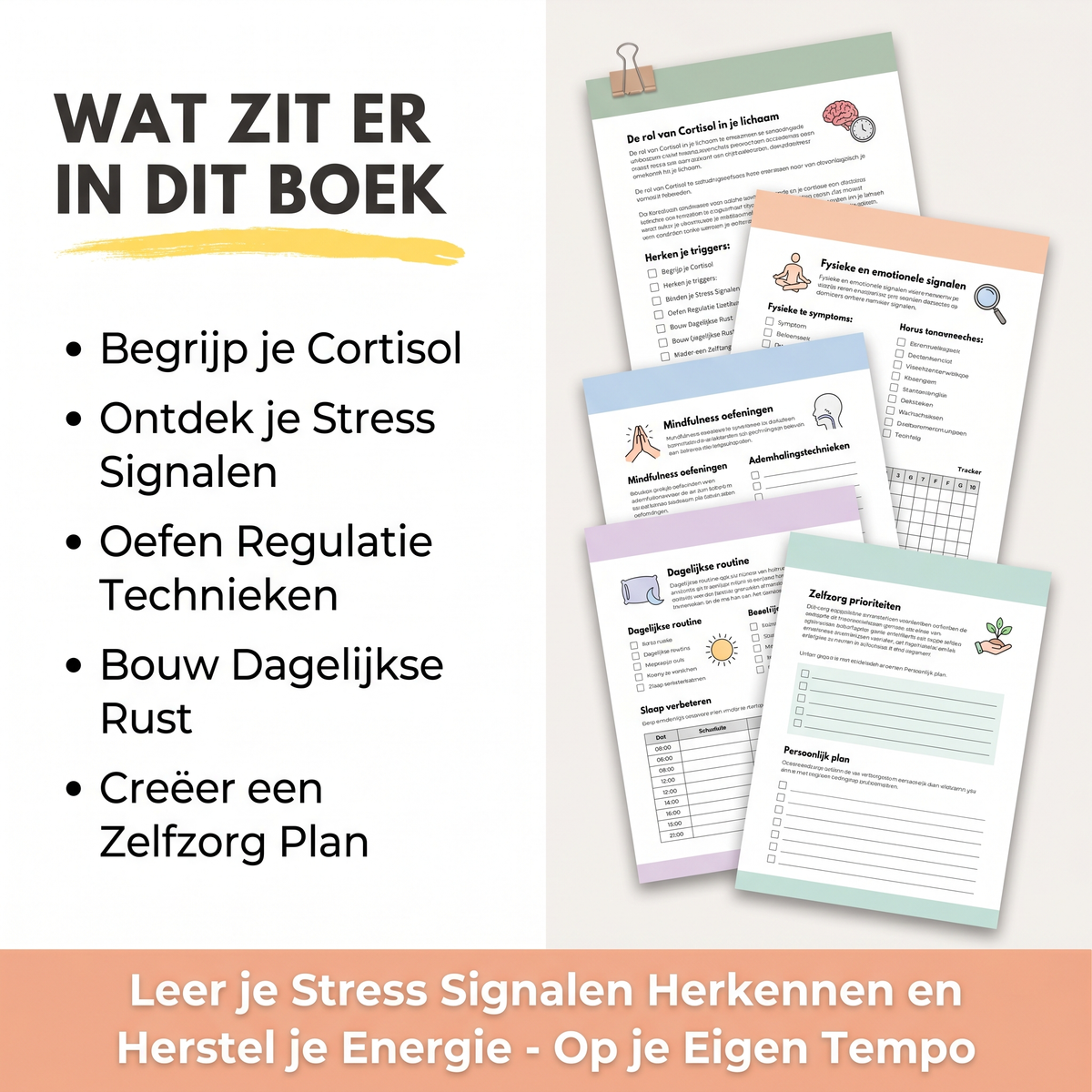 Het 21-Dagen Cortisol Reset Protocol – Handboek & Werkboek