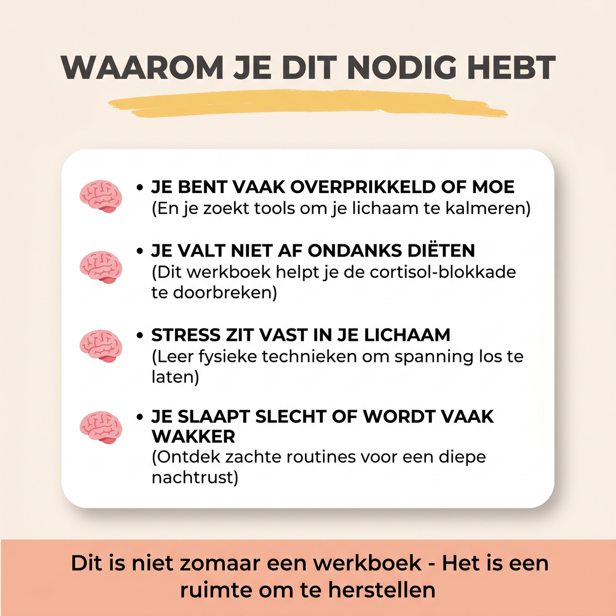 Het 21-Dagen Cortisol Reset Protocol – Handboek & Werkboek